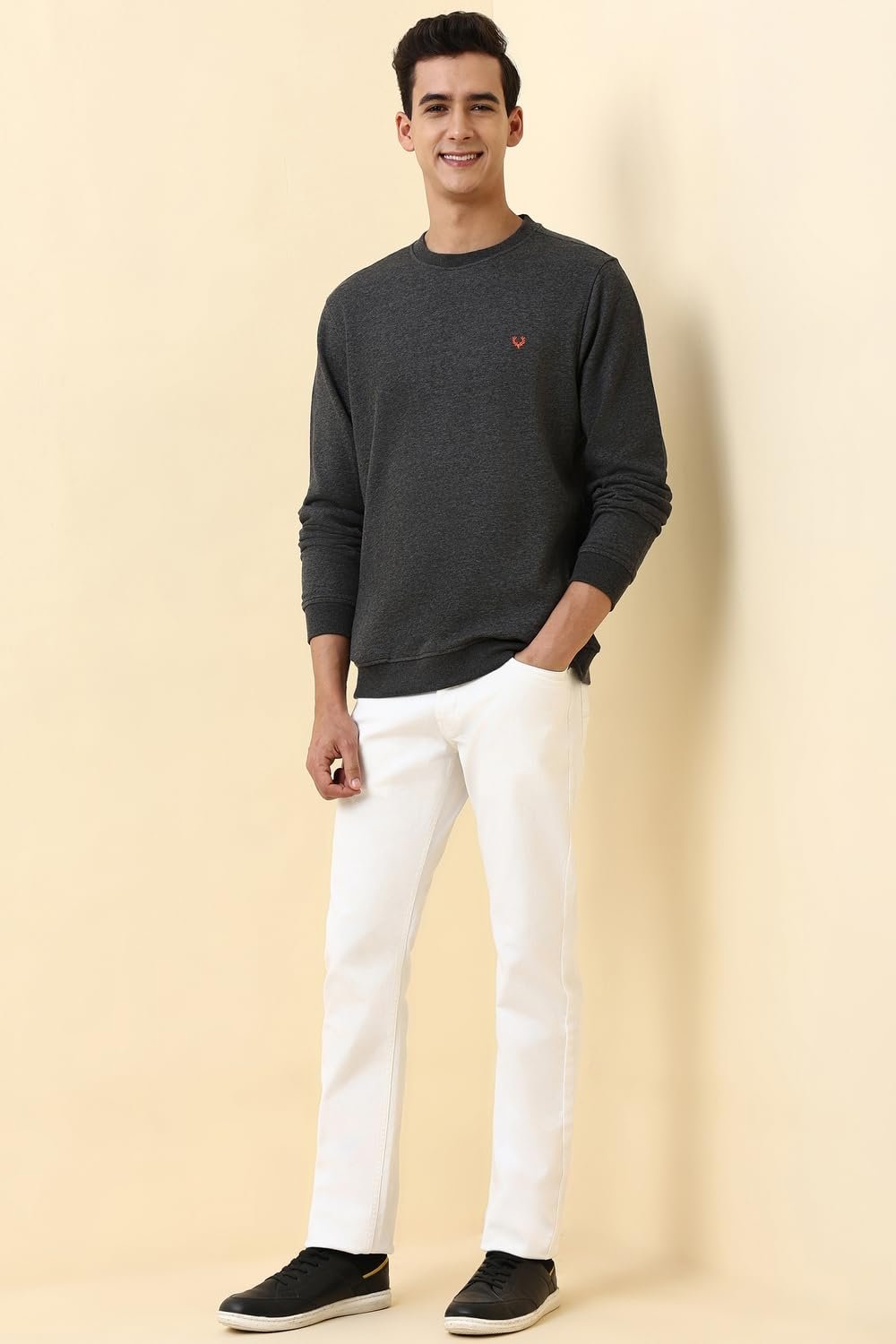 Allen Solly Men's Crew Neck Sweatshirt (ASSTQRGFE78264_DARK GRAY_XL) - Image 2