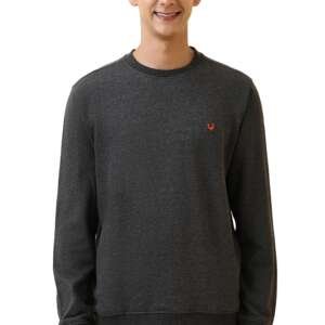 Allen Solly Men's Crew Neck Sweatshirt (ASSTQRGFE78264_DARK GRAY_XL)