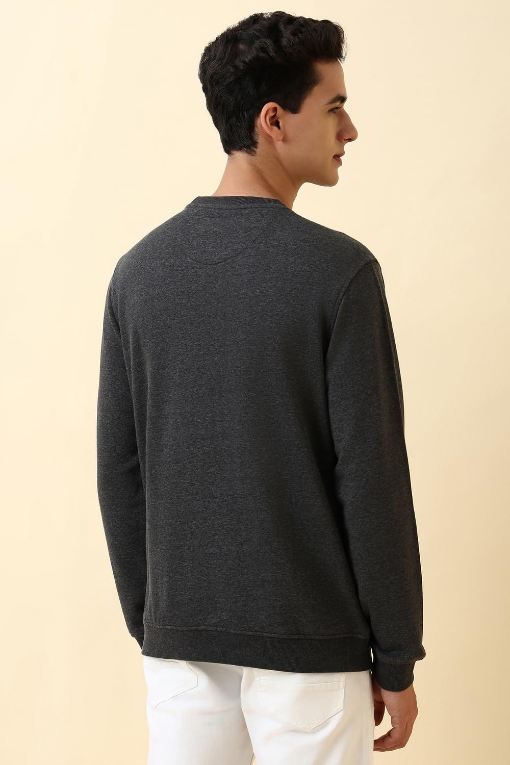 Allen Solly Men's Crew Neck Sweatshirt (ASSTQRGFE78264_DARK GRAY_XL) - Image 4
