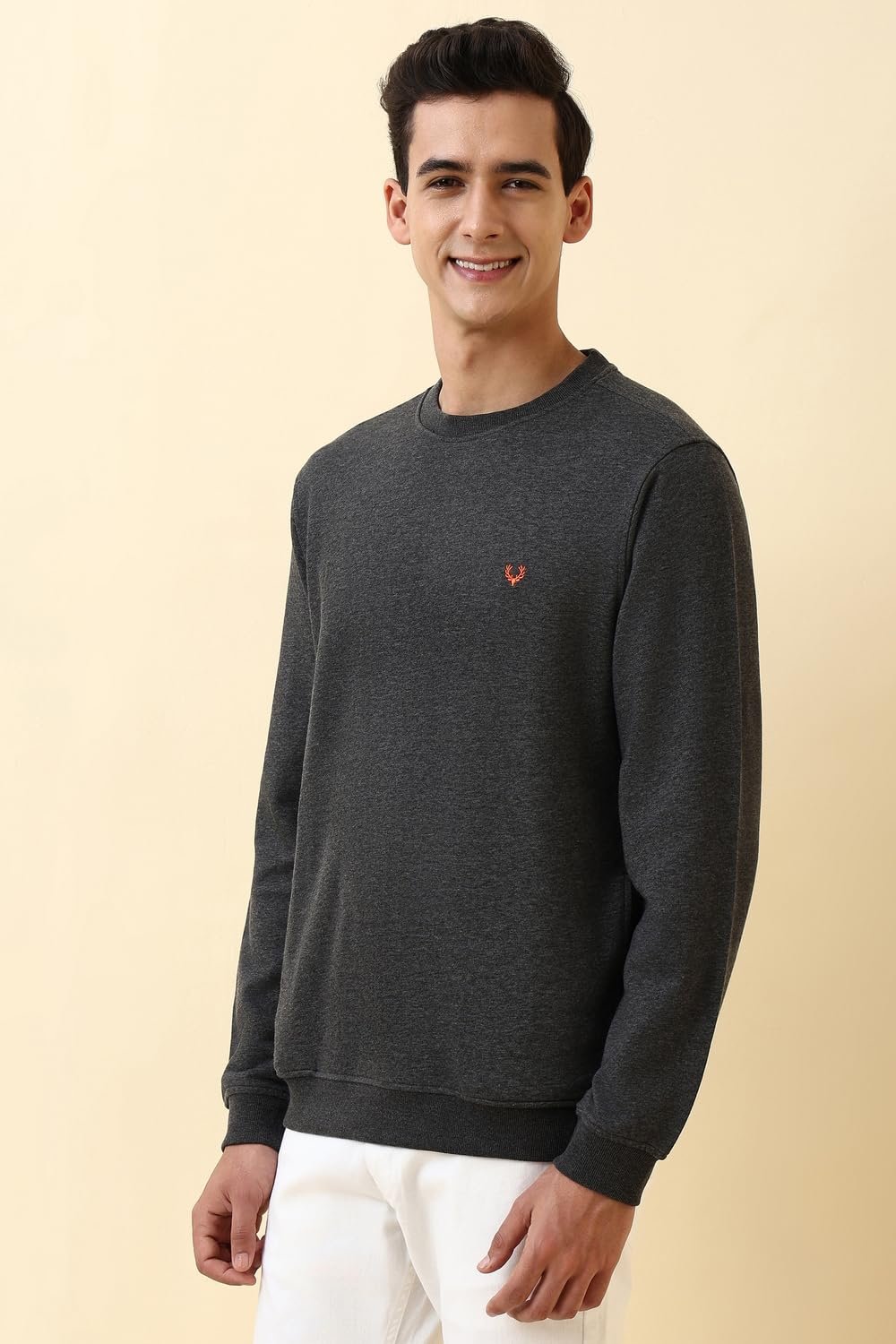 Allen Solly Men's Crew Neck Sweatshirt (ASSTQRGFE78264_DARK GRAY_XL) - Image 5